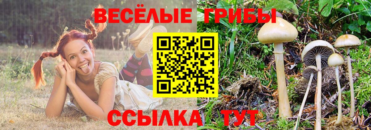 Галлюциногенные грибы Psilocybe  Вход с VPN  Урай 